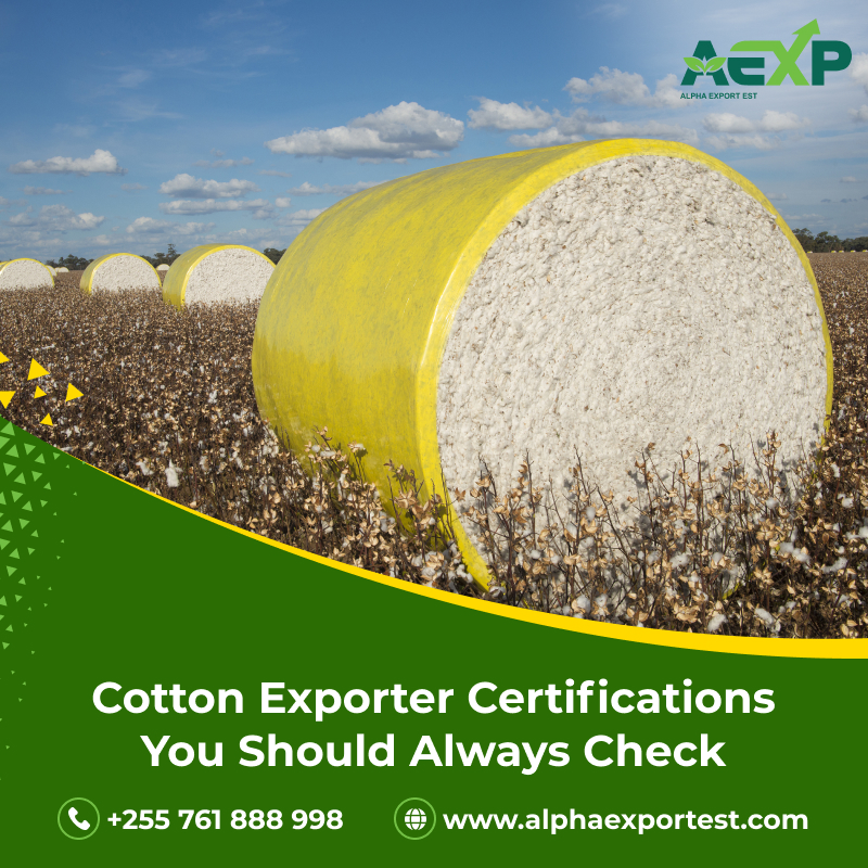 Biggest Cotton Exporters