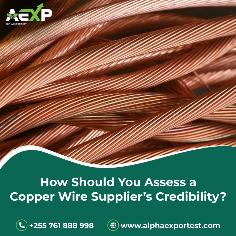 Copper Wire Supplier